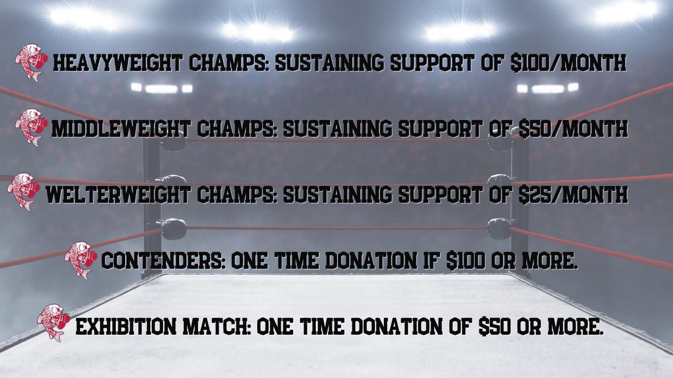 Donation tiers: Heavyweight Champs, Middleweight Champs, Welterweight Champs, Contenders, Exhibition Match